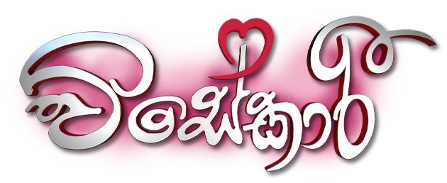 Visekari logo