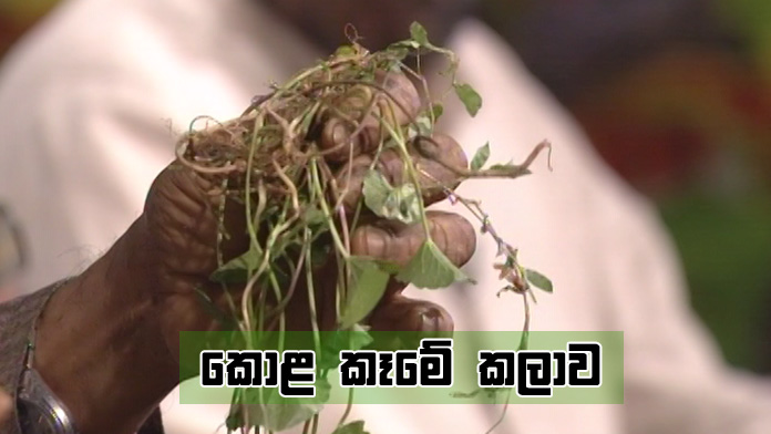 Doramadalawa – 2019-03-11
