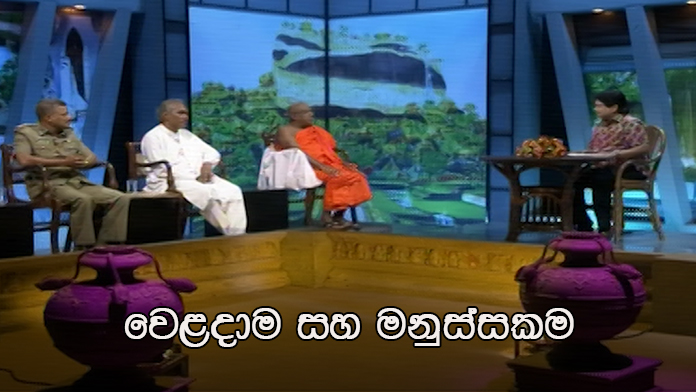 Doramadalawa – 2020-12-14