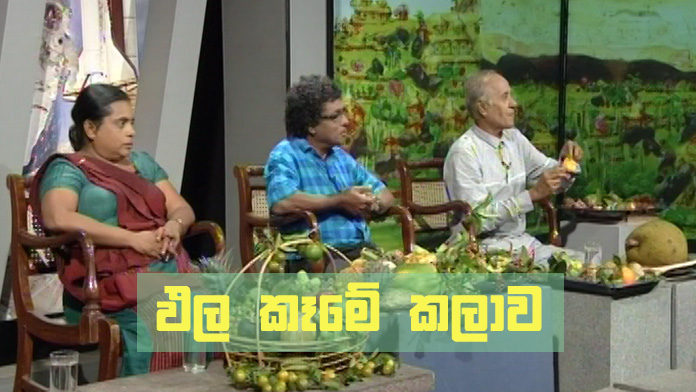 Doramadalawa – 2019-03-25