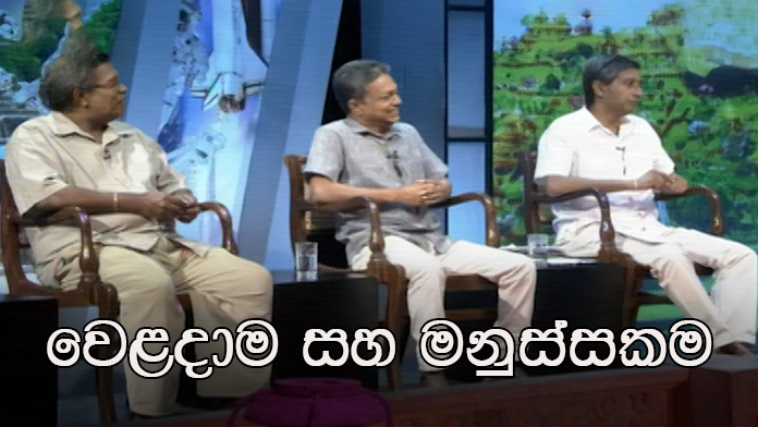 Doramadalawa – 2020-11-30