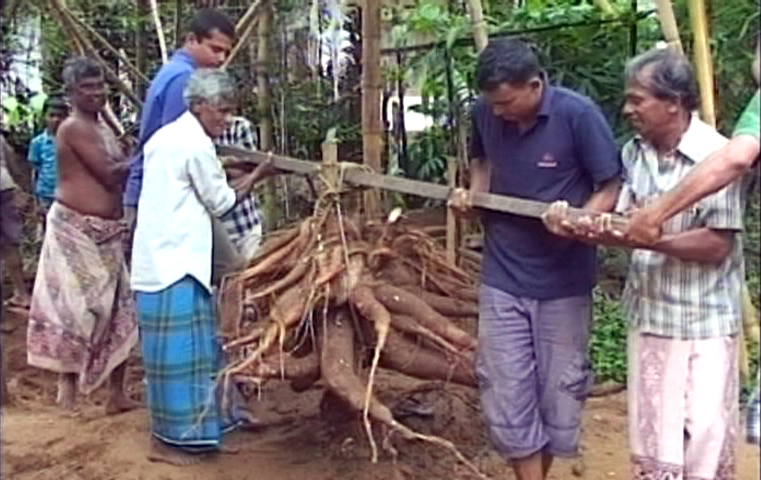 Atapattama – 2012-09-26