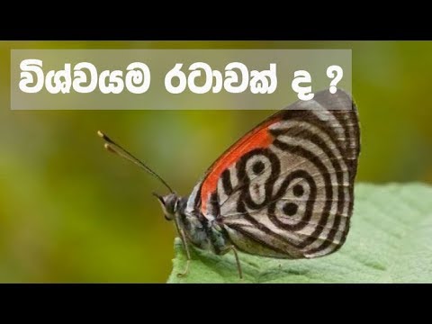 Doramadalawa – 2018-01-30- විශ්වයම රටාවක් ද ?