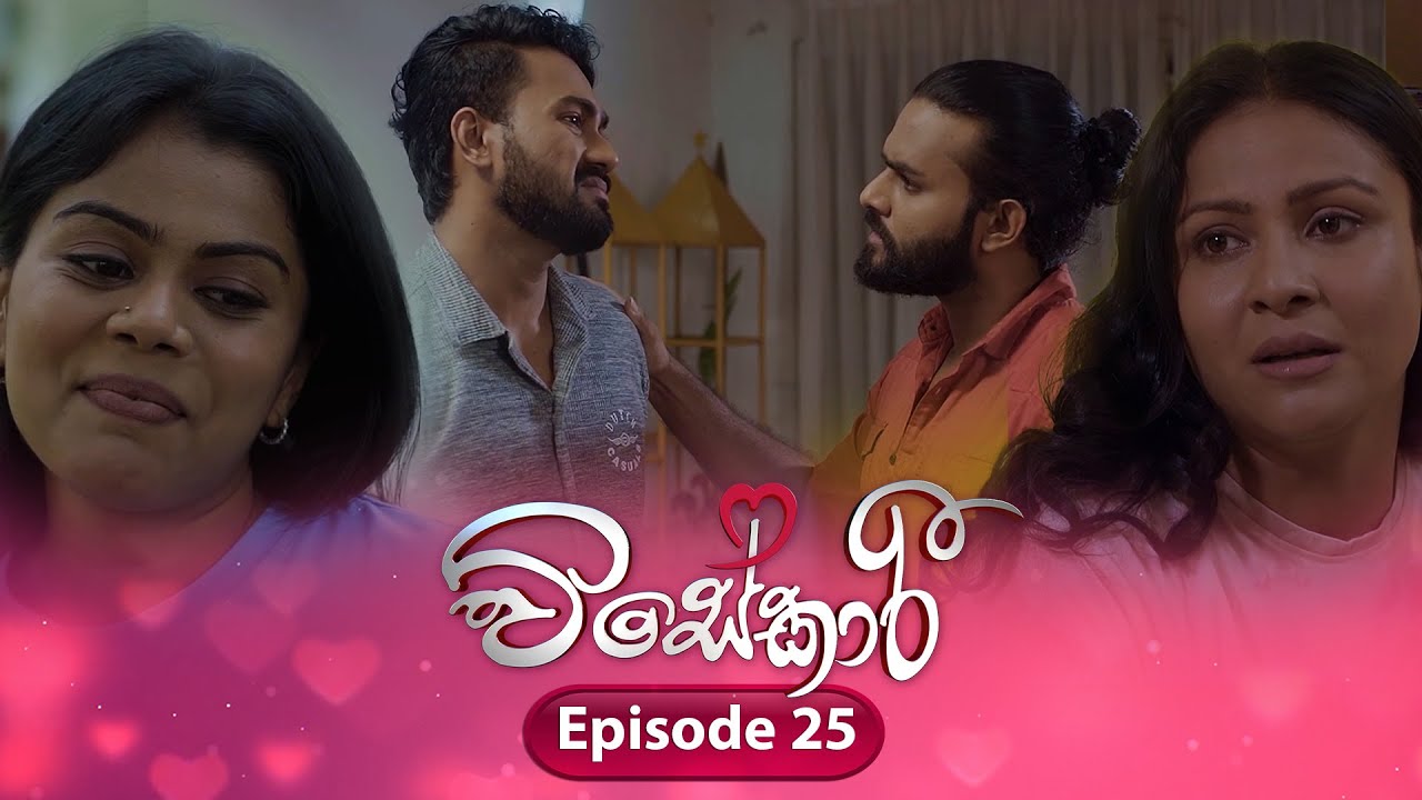 Visekari – Episode 25 – 2024-11- 22