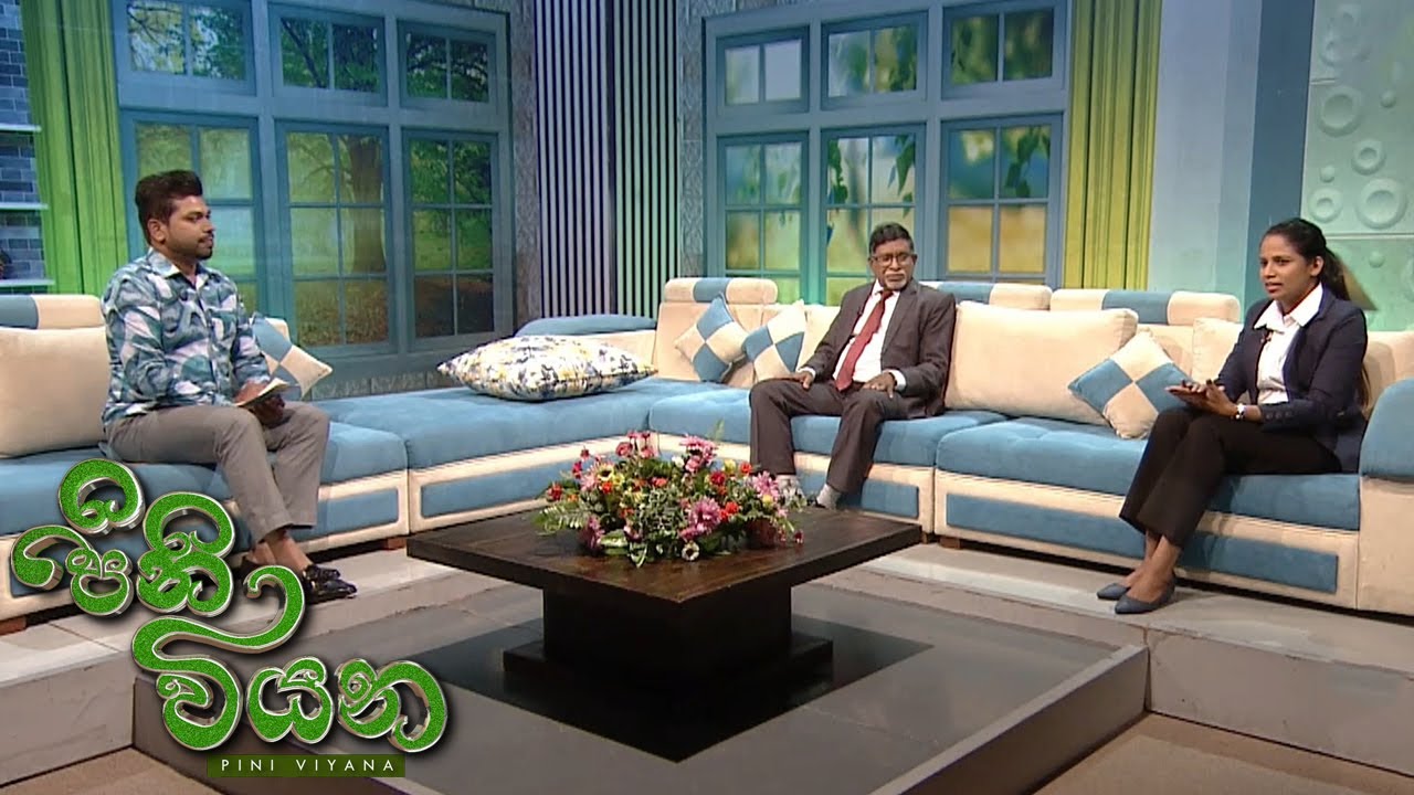 Pini Viyana – 2025-05-29