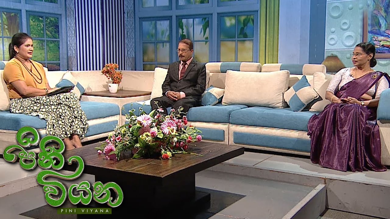 Pini Viyana – 2025-07-04
