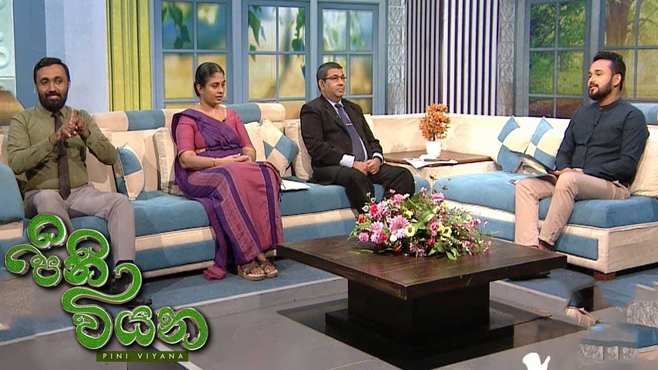 Pini Viyana – 2025-09-22