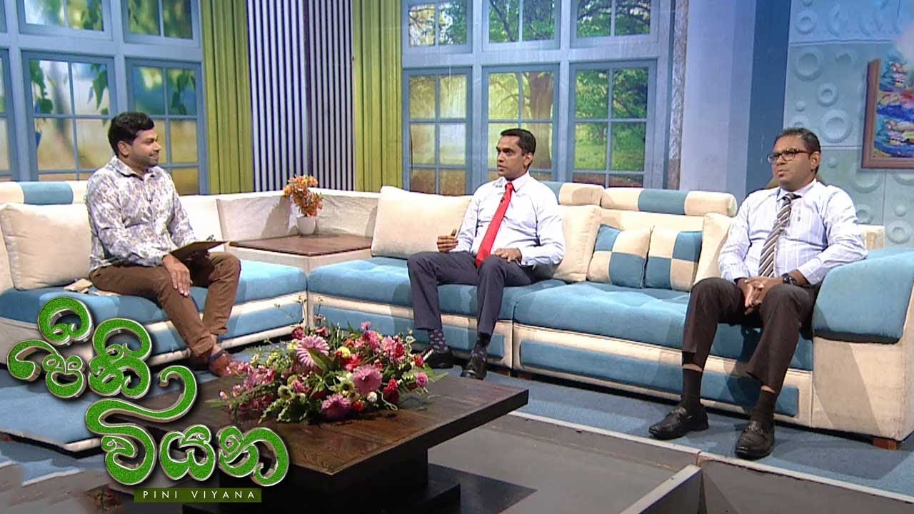 Pini Viyana – 2025-10-22