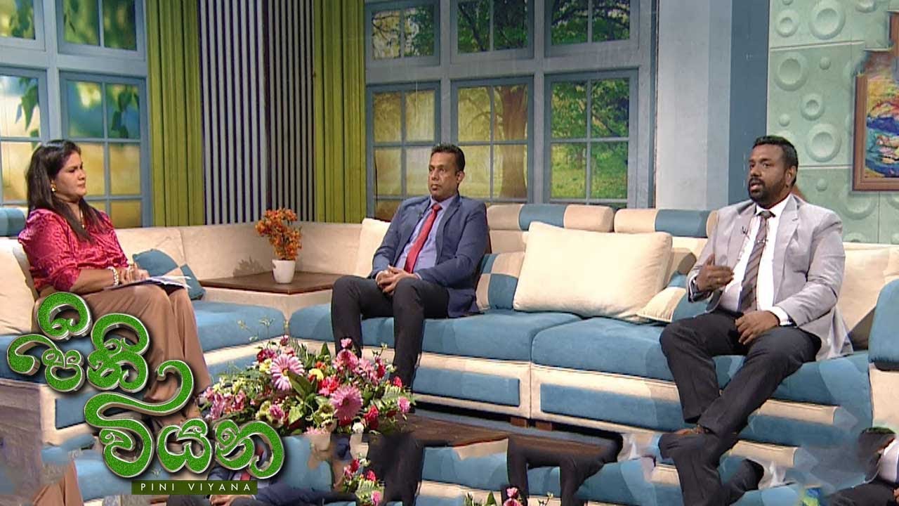 Pini Viyana – 2025-10-24