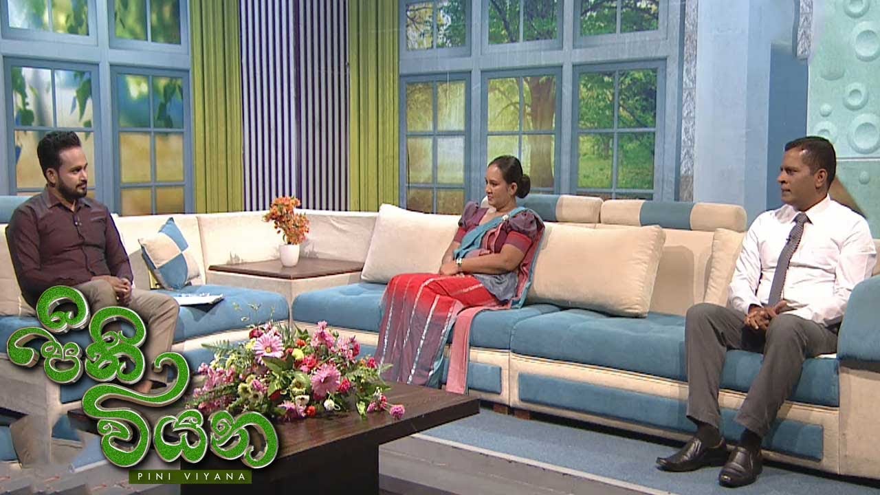 Pini Viyana – 2025-10-27