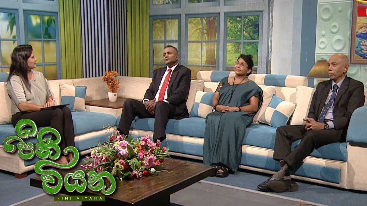 Pini Viyana – 2025-10-31