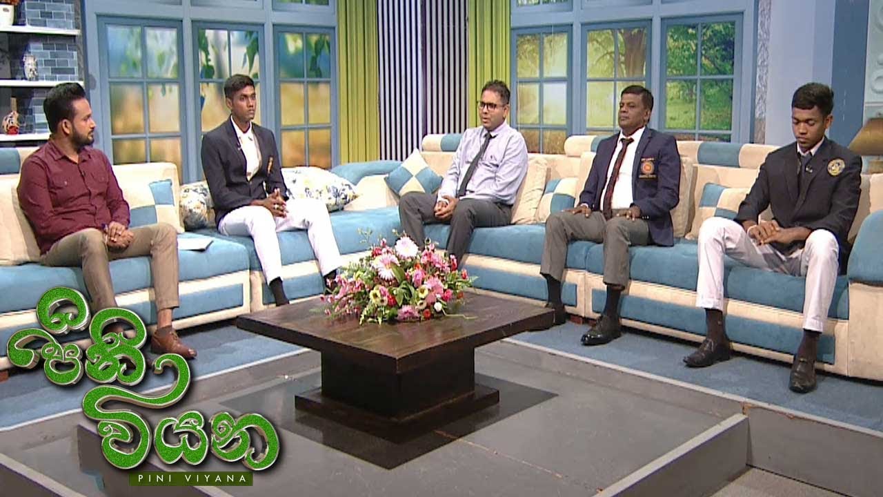 Pini Viyana – 2025-11-03