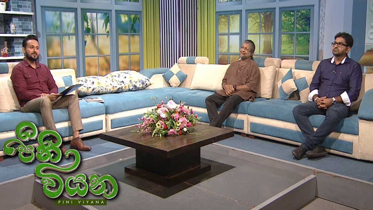 Pini Viyana – 2025-11-03