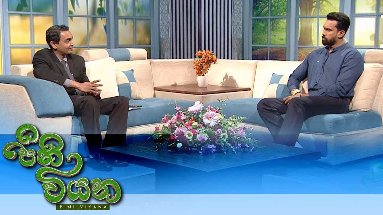 Pini Viyana – 2025-11-07