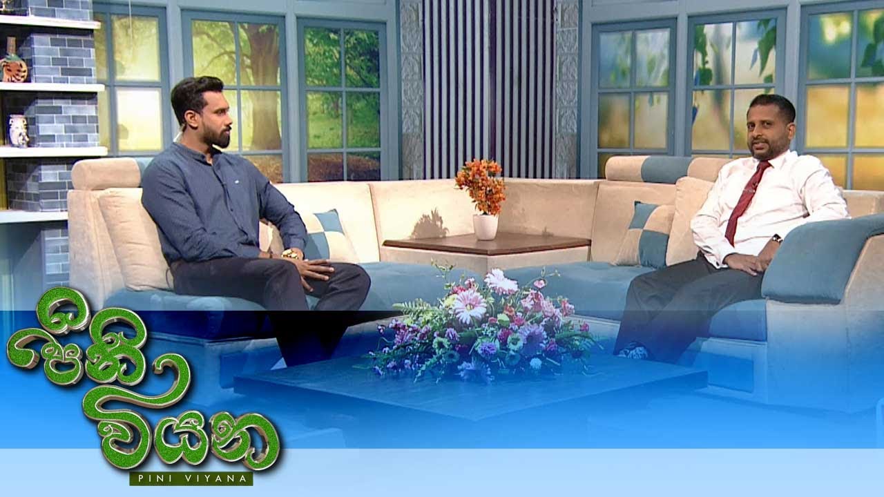 Pini Viyana – 2025-11-07