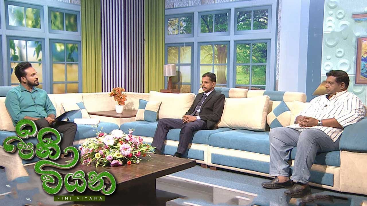 Pini Viyana – 2025-11-10