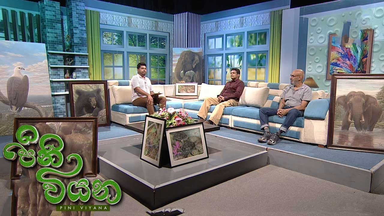 Pini Viyana – 2025-11-12