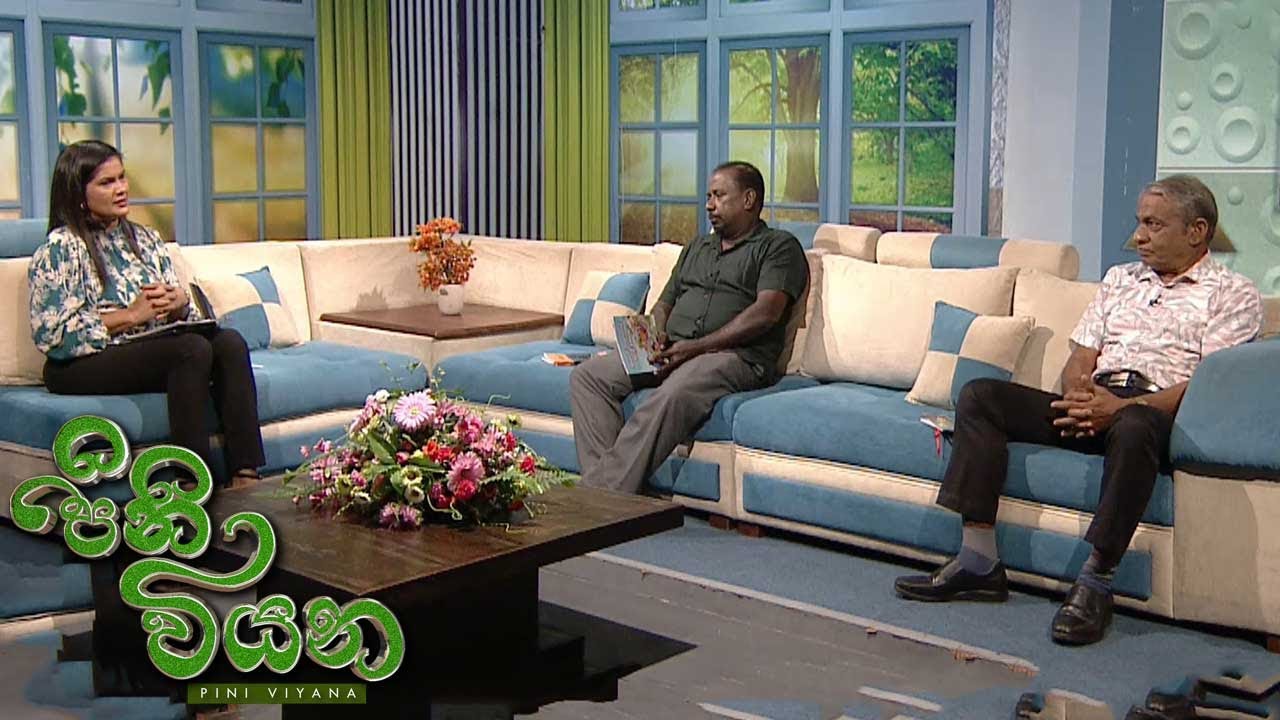 Pini Viyana – 2025-11-21