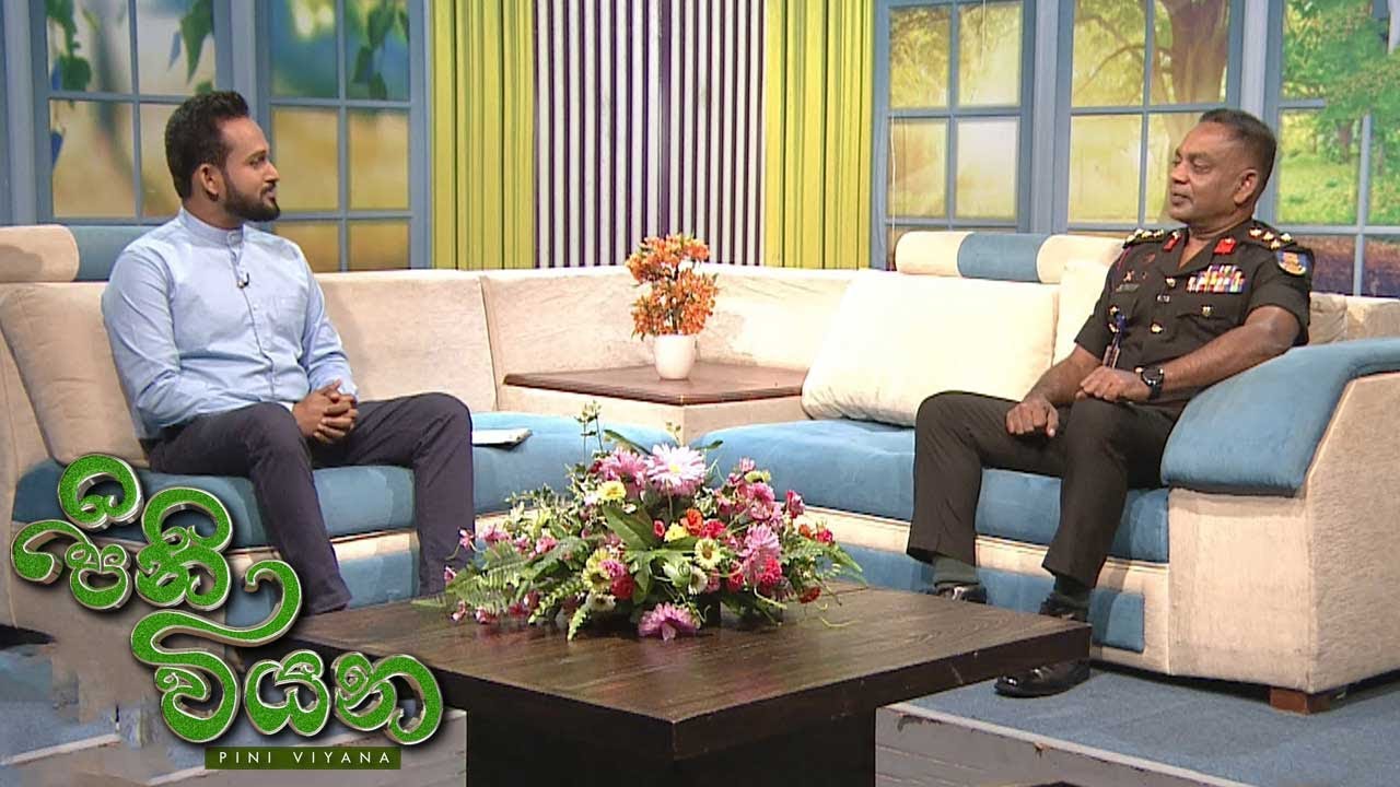 Pini Viyana – 2025-11-24