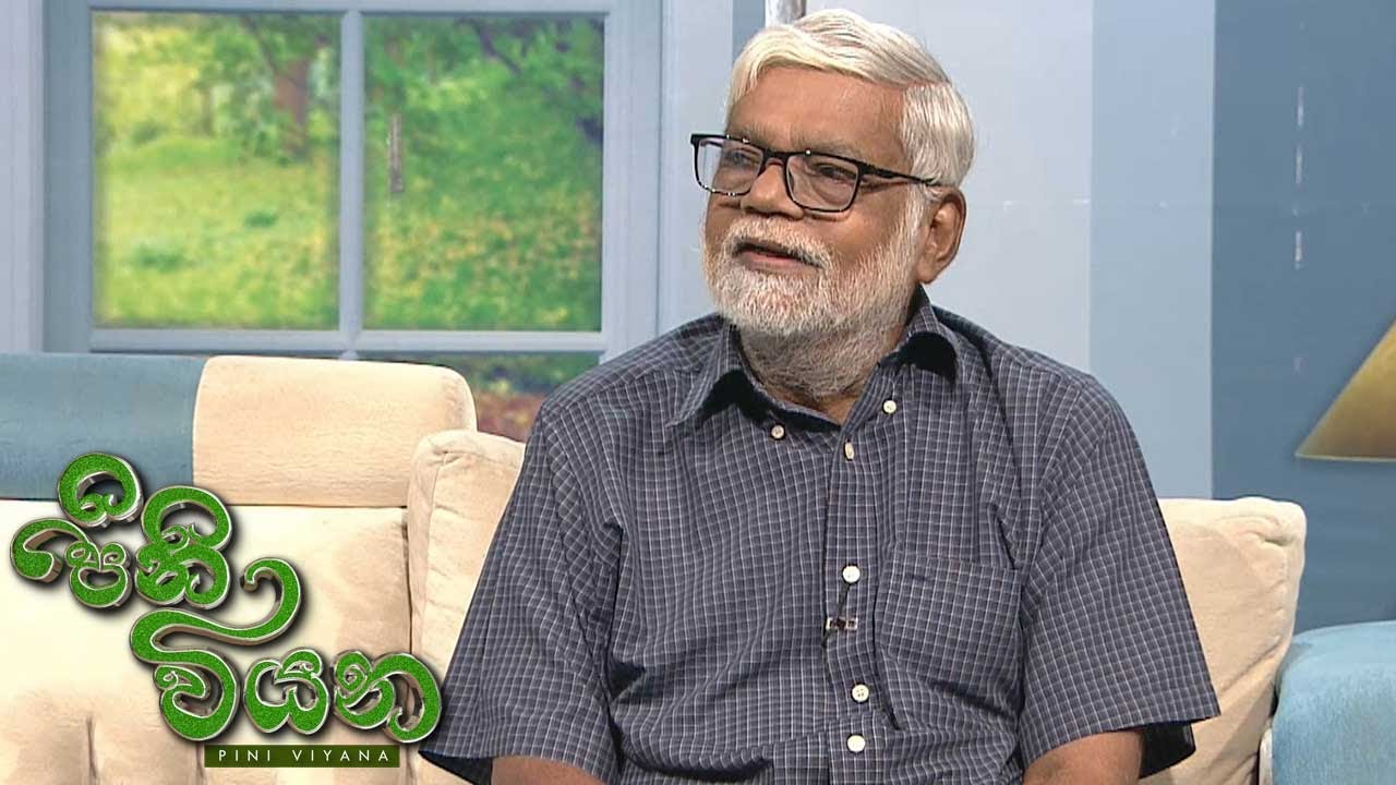 Pini Viyana – 2025-11-24