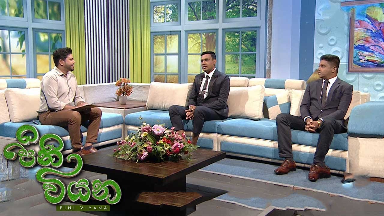Pini Viyana – 2025-11-26