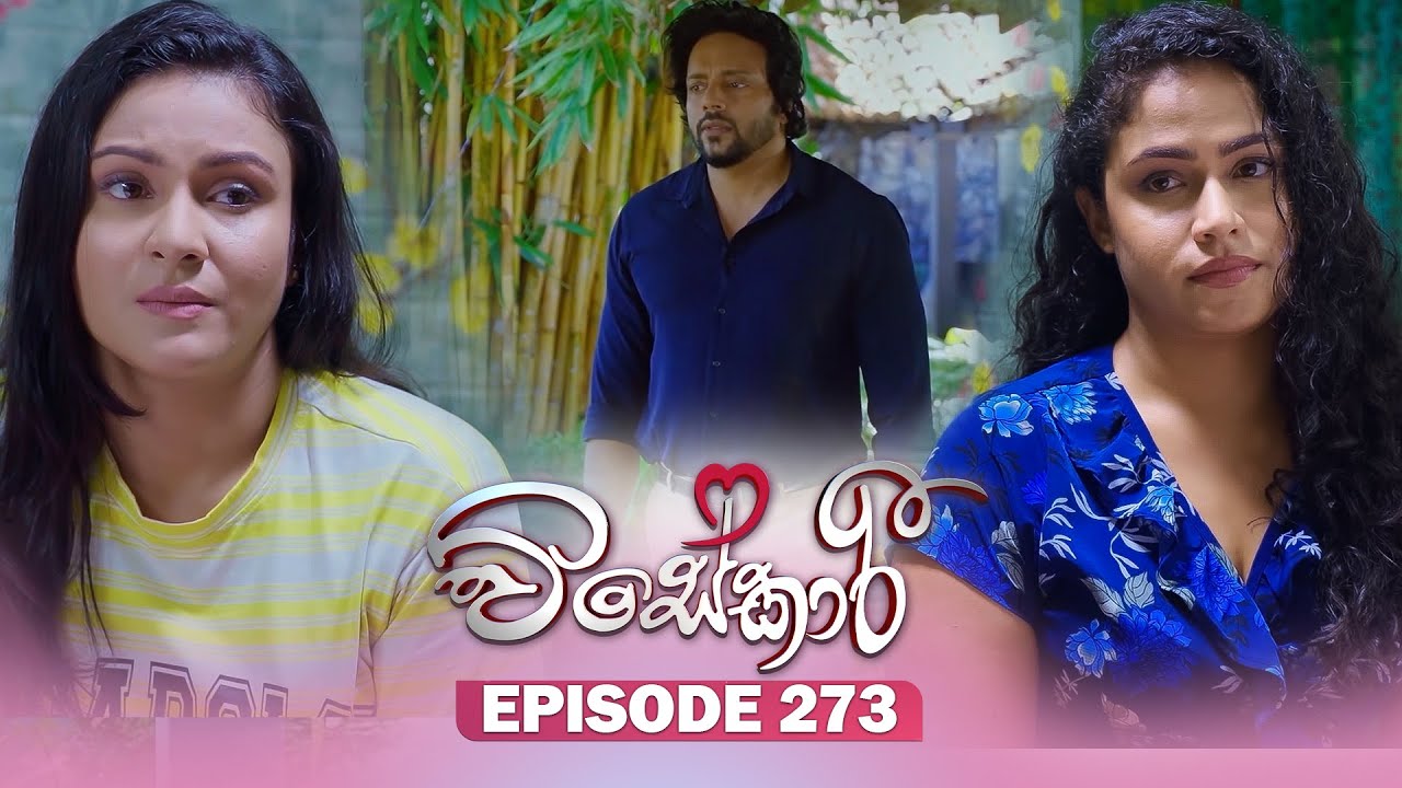 Visekari – Episode 273 – 2025-11-10