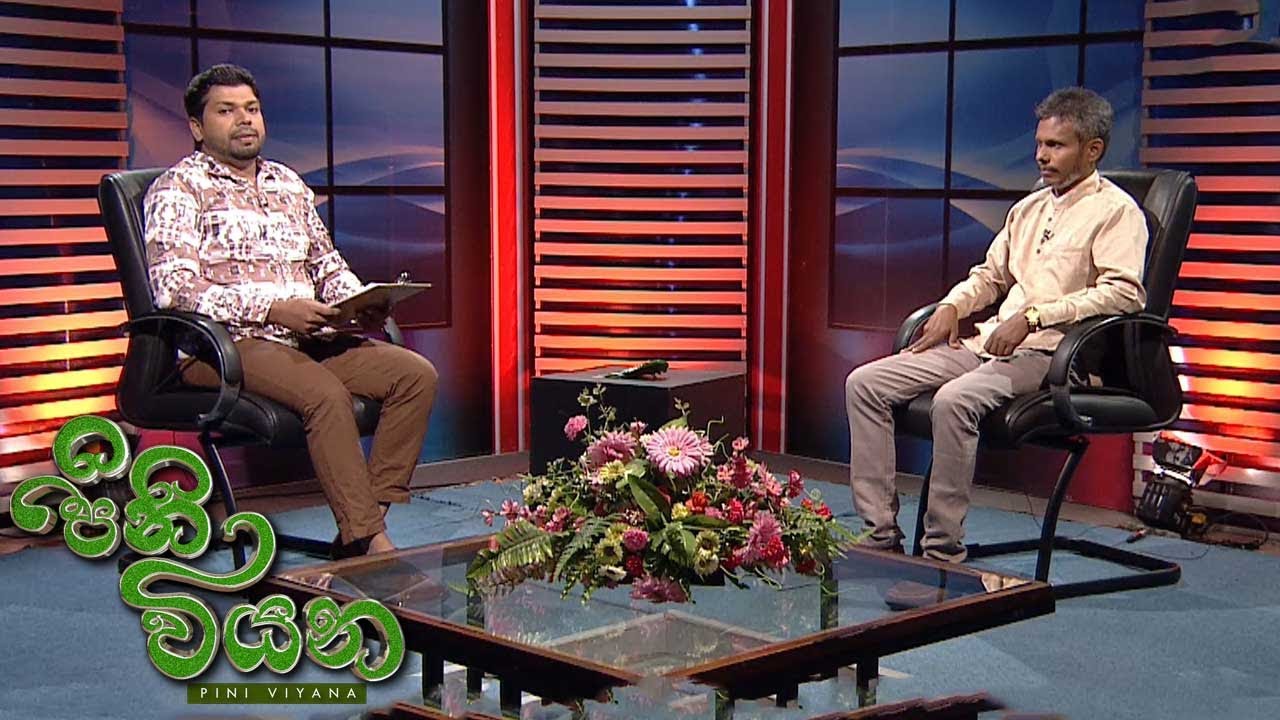 Pini Viyana – 2025-12-03