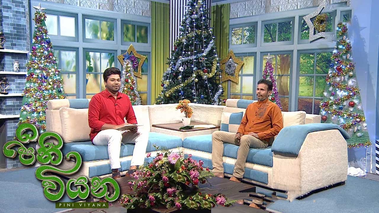 Pini Viyana – 2025-12-24