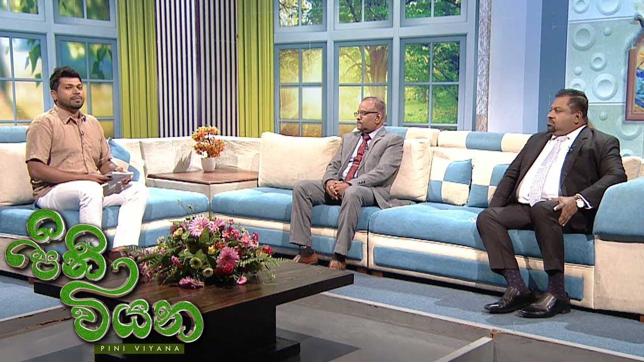 Pini Viyana – 2025-12-31