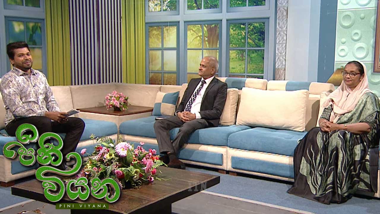 Pini Viyana – 2025-12-30