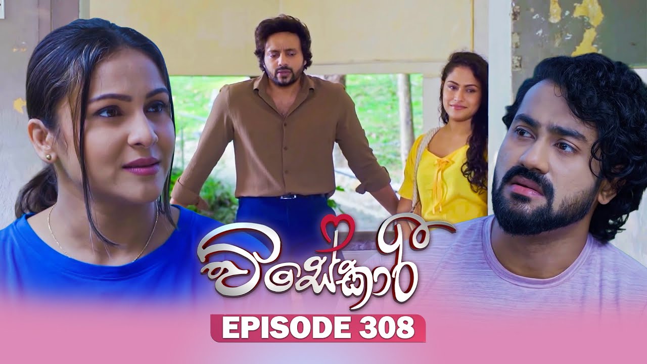 Visekari – Episode 308 – 2025-12-29