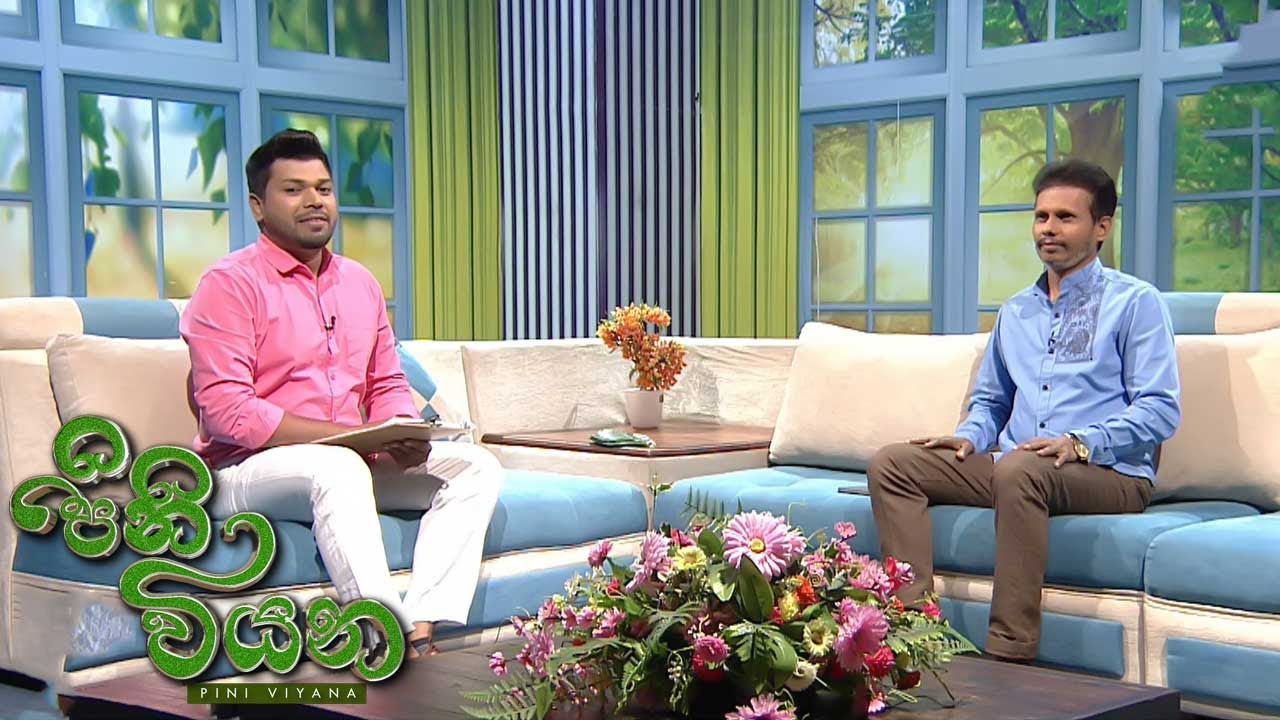 Pini Viyana – 2026-01-07