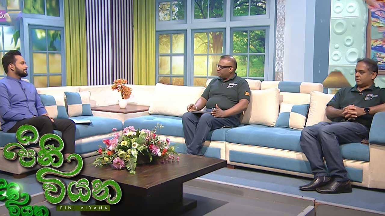Pini Viyana – 2026-01-12