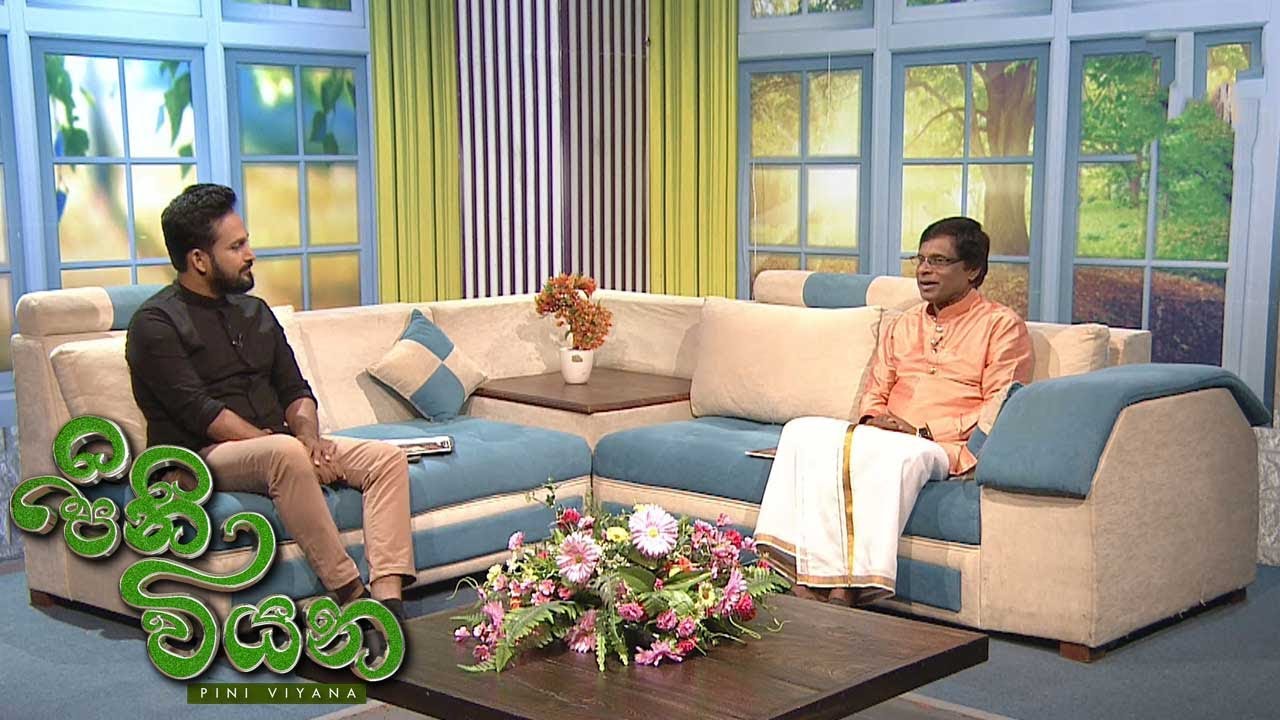 Pini Viyana – 2026-01-26