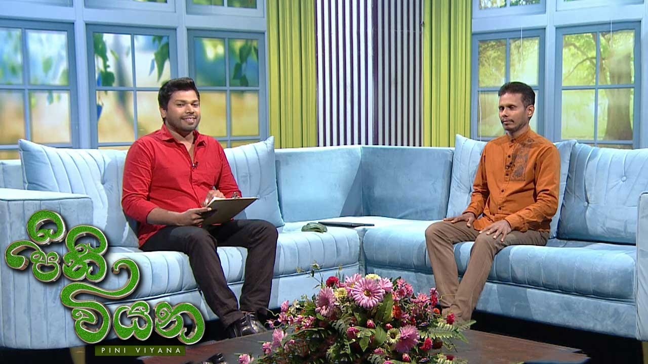 Pini Viyana – 2026-02-11
