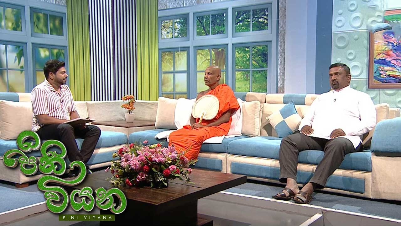 Pini Viyana – 2026-02-25