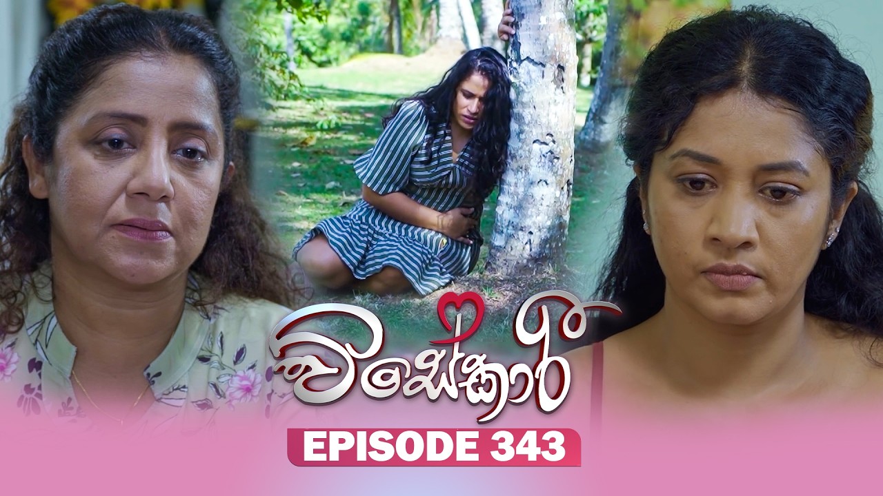 Visekari – Episode 343 – 2026-02-17