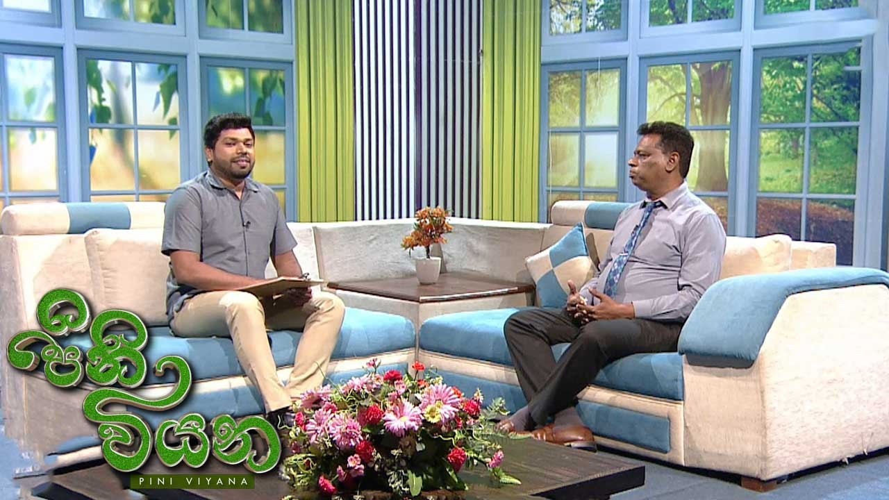 Pini Viyana – 2026-03-25