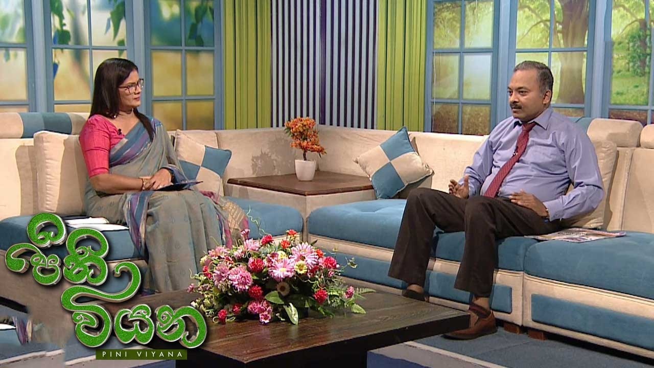 Pini Viyana – 2026-04-03