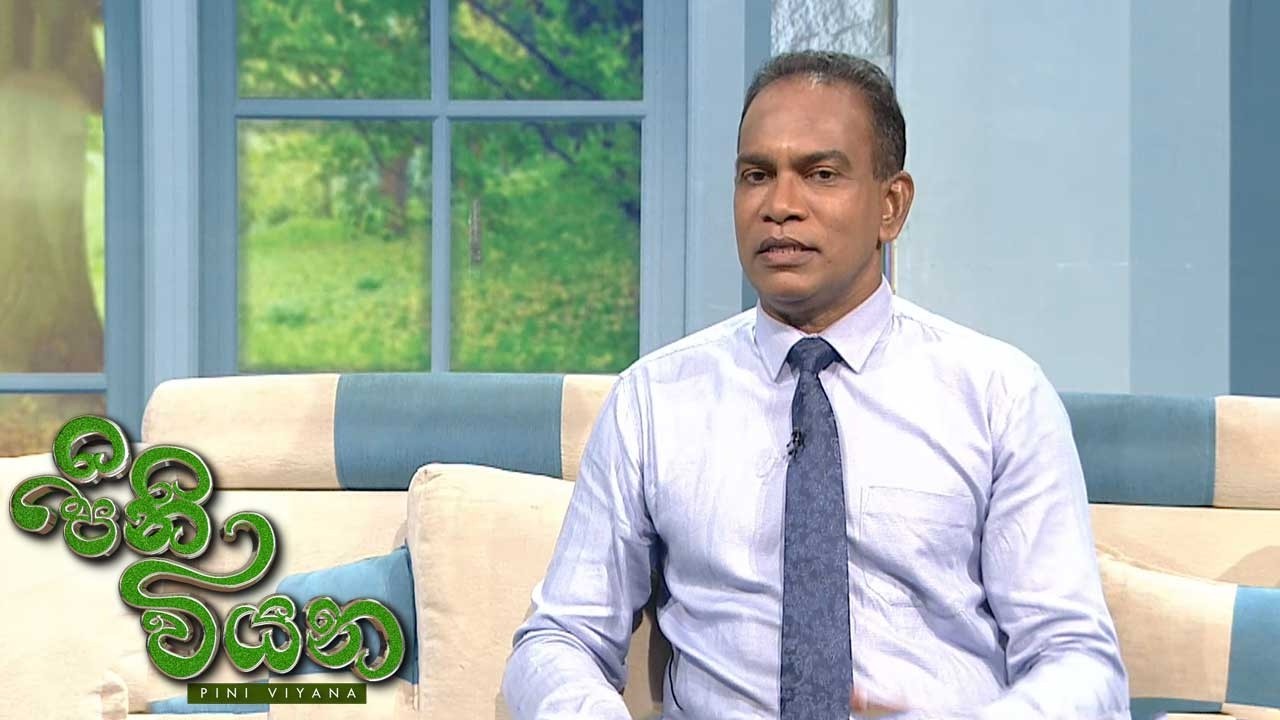 Pini Viyana – 2026-04-27