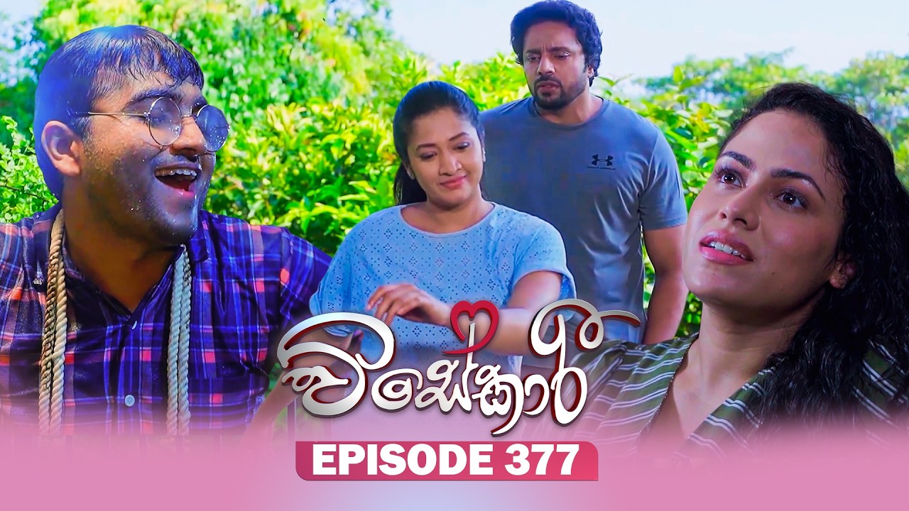Visekari – Episode 377 – 2026-04-06