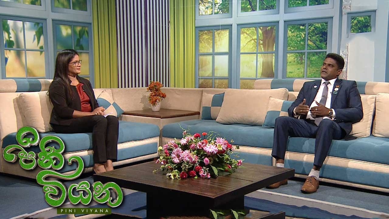 Pini Viyana – 2026-05-08