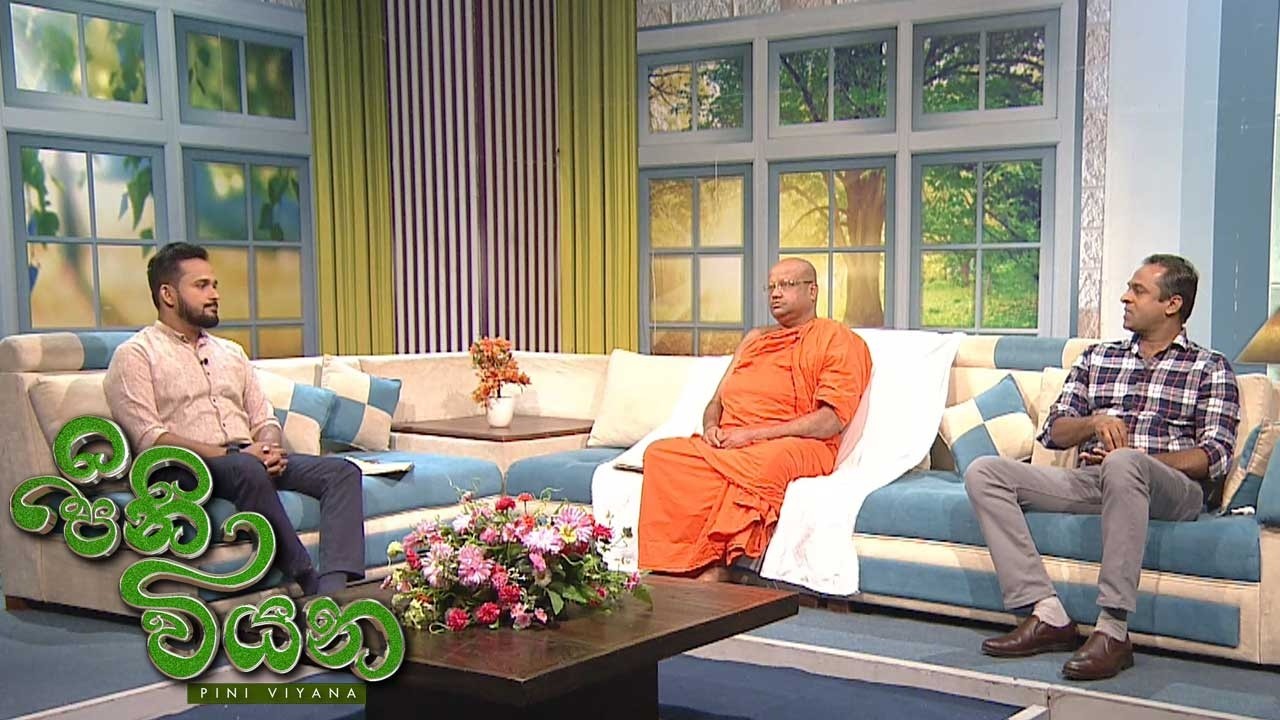 Pini Viyana – 2026-05-11