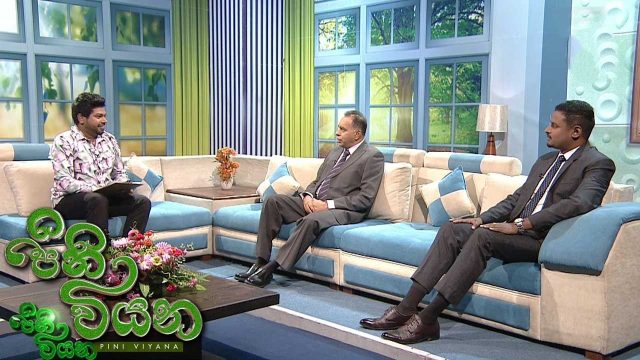 Pini Viyana – 2026-05-20