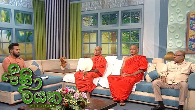 Pini Viyana – 2026-05-25