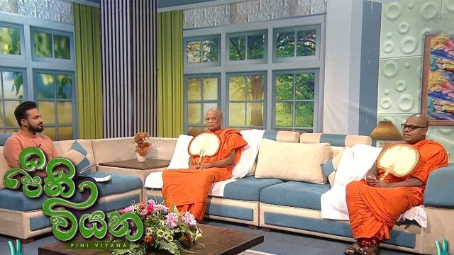 Pini Viyana – 2026-05-25