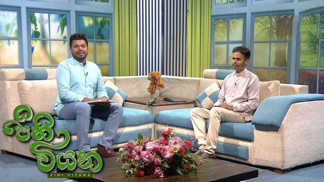 Pini Viyana – 2026-06-10